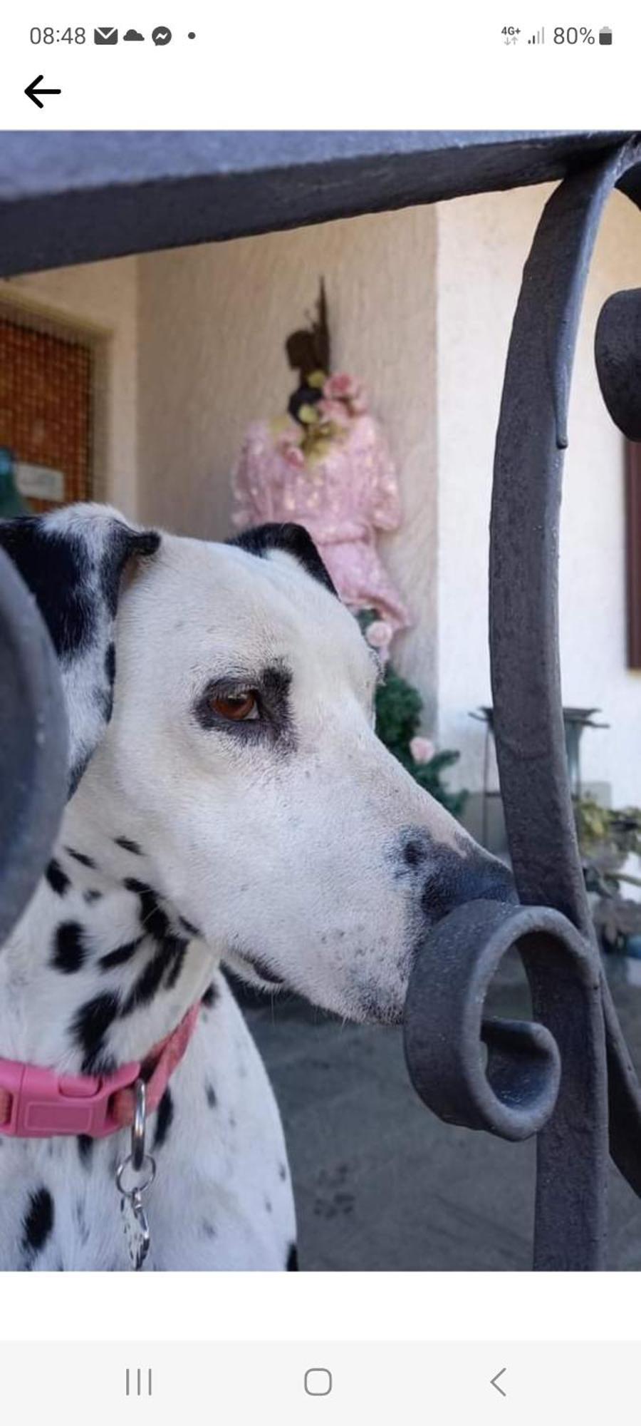 B&B La Gerbolina San Giusto Canavese エクステリア 写真