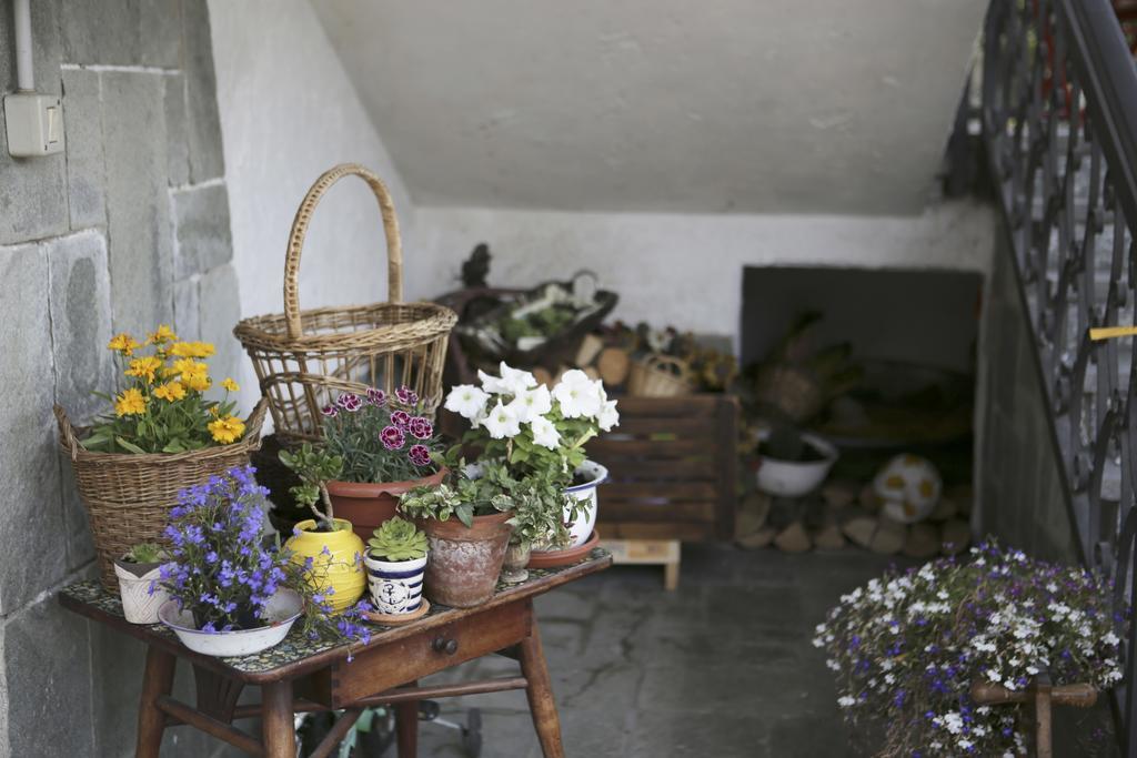 B&B La Gerbolina San Giusto Canavese エクステリア 写真