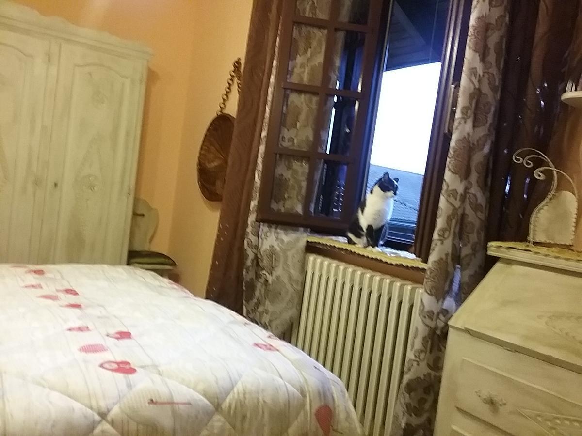 B&B La Gerbolina San Giusto Canavese エクステリア 写真