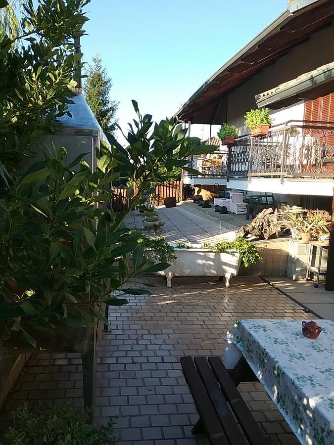 B&B La Gerbolina San Giusto Canavese エクステリア 写真